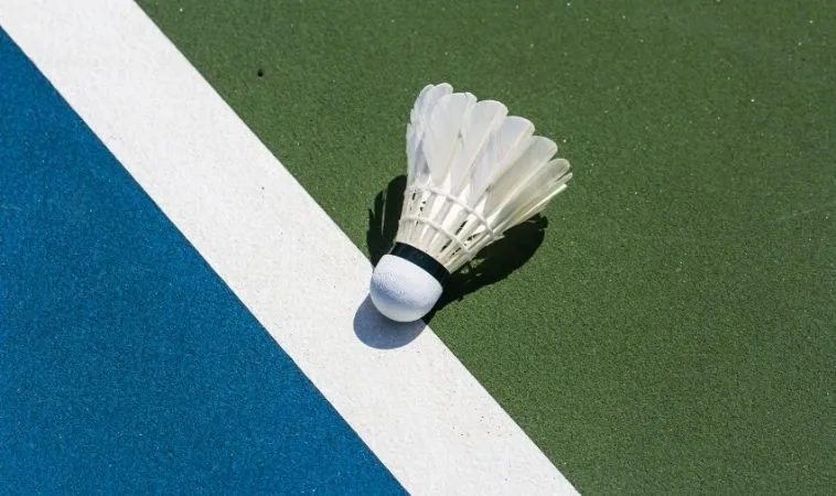 cầu lông tại SB365