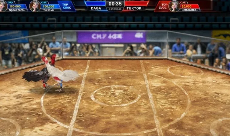 Học Nhanh Cách Chơi Đá Gà 3D SB365 Bất Bại Từ Cao Thủ 1 Đá Gà 3D SB365