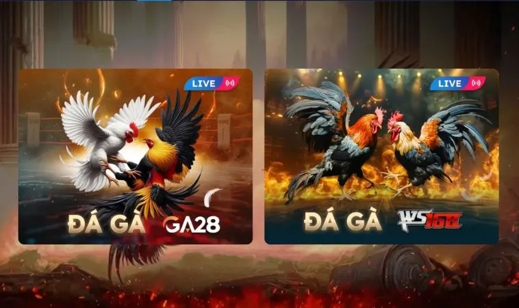 Các đấu trường đá gà uy tín tại sảnh Đá Gà SB365
