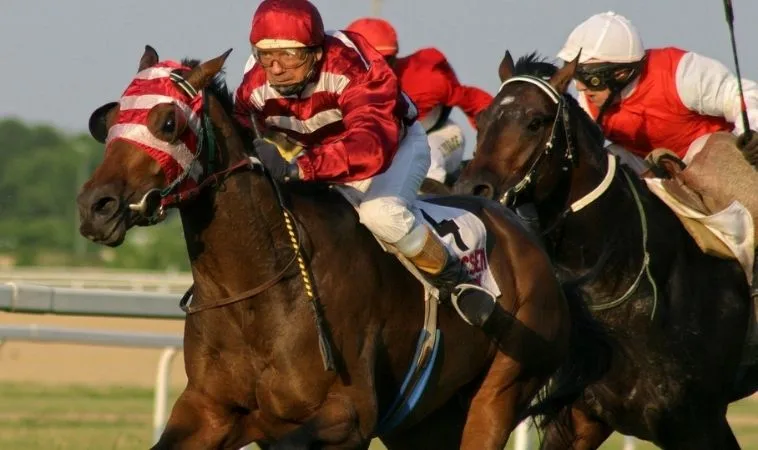 Cần tìm hiểu kỹ về bộ môn đua ngựa SB365 trước khi cá cược